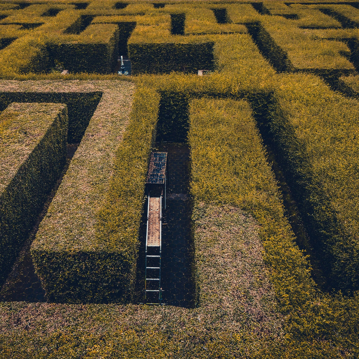 Inspiration for Blue Maze Bottle Drape is manicured garden maze