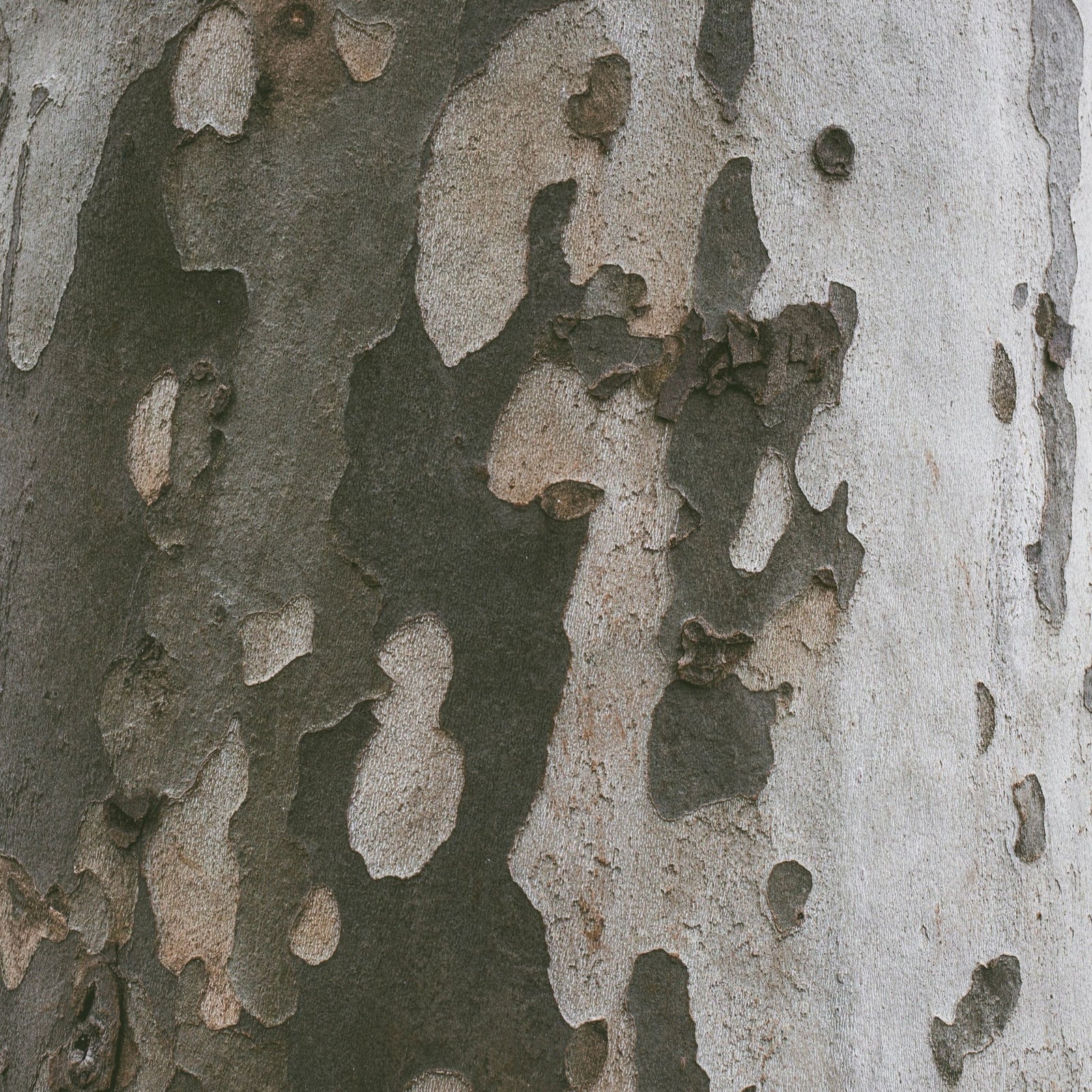 Wine and bar accessory bottle drape catches bottle drip in silk blue camouflage pattern drapes elegantly on bottle